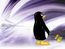 tux01.jpg