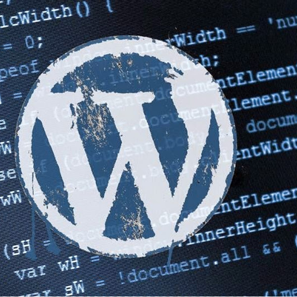 Persistent Cross-Site Scripting (XSS) en Advanced Custom Fields de Wordpress